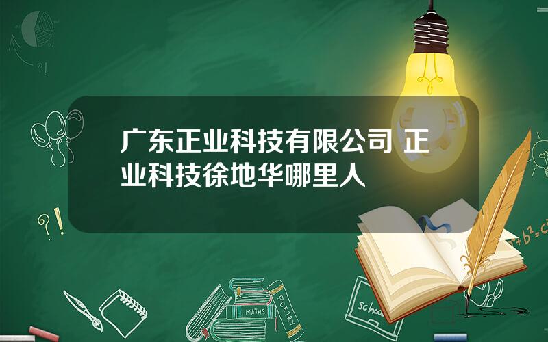 广东正业科技有限公司 正业科技徐地华哪里人